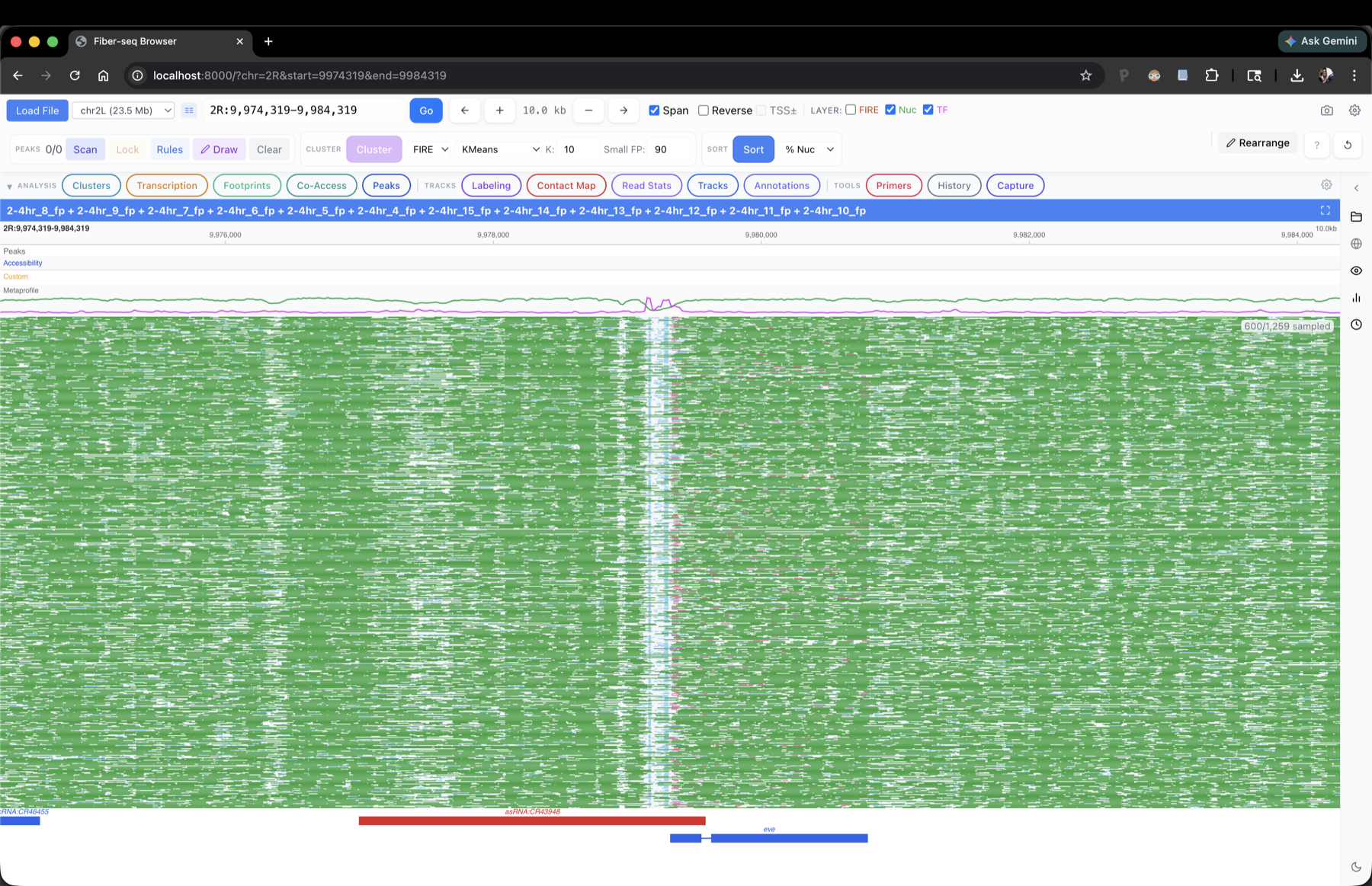 FiberBrowser overview at the eve locus